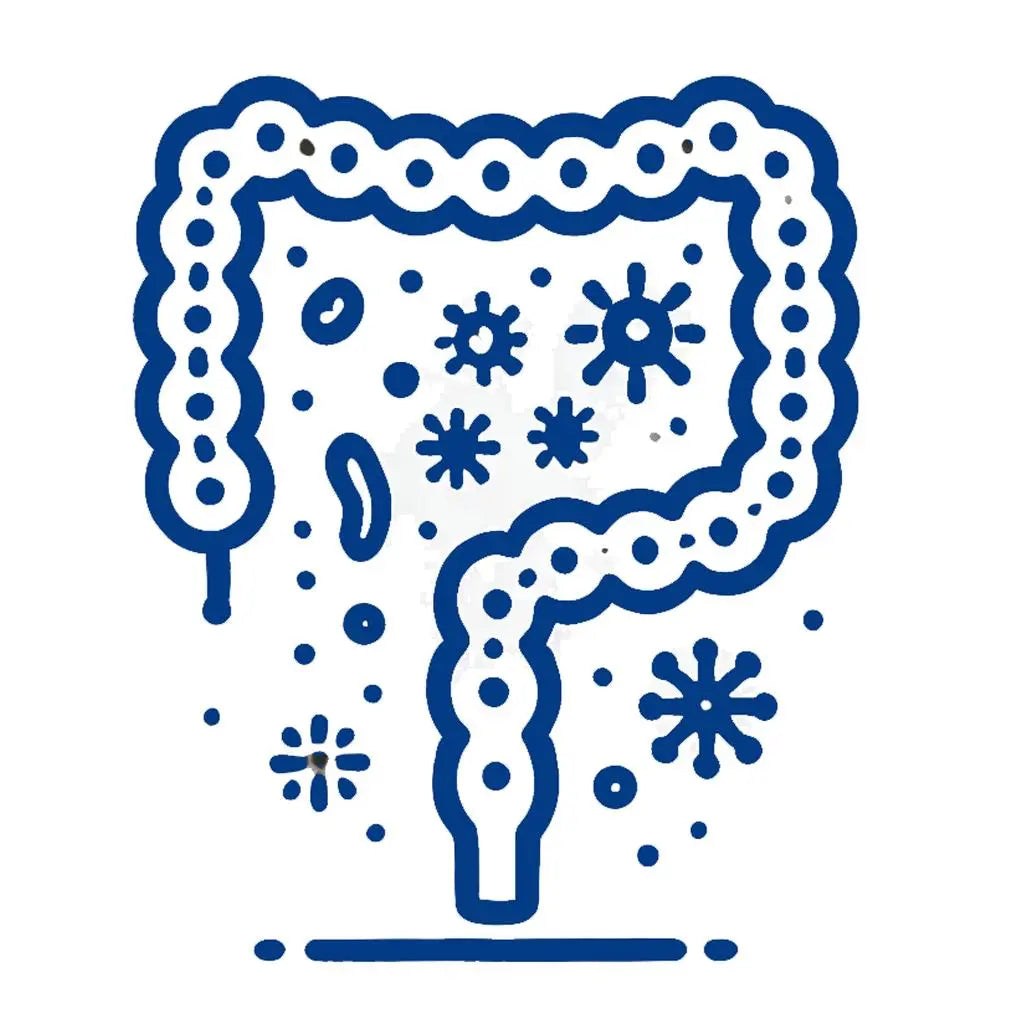 Equilibrio de la microbiota intestinal - Nootrópicos Perú