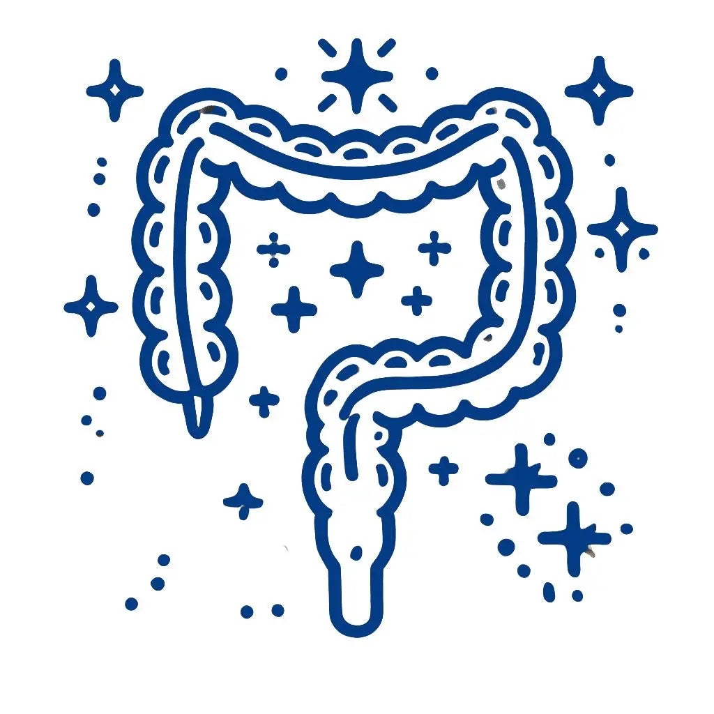 Regeneración de la barrera intestinal - Nootrópicos Perú