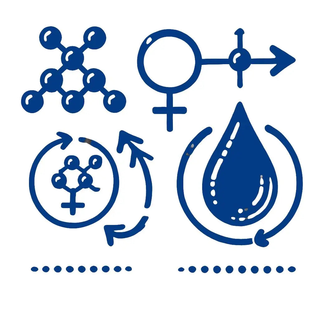 Regulación Hormonal del Sistema Metabólico - Nootrópicos Perú