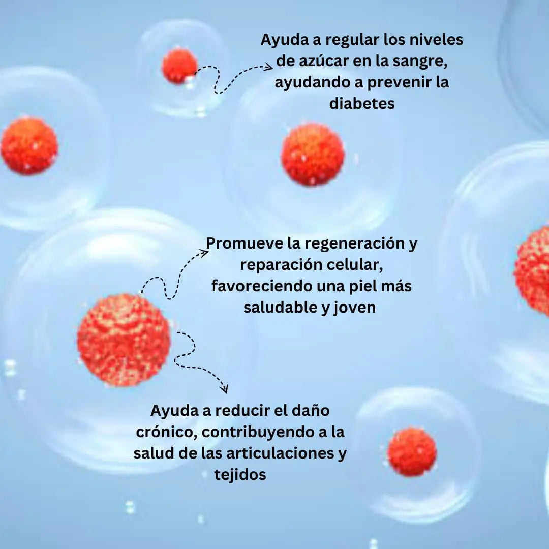 Ácido Alfa Lipoico (R-ALA) 600mg - 100 cápsulas Nootrópicos Perú