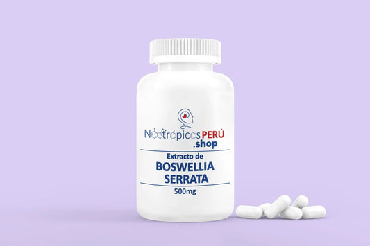 Boswellia 450mg (Extracto al 65%) - 100 cápsulas Nootrópicos Perú