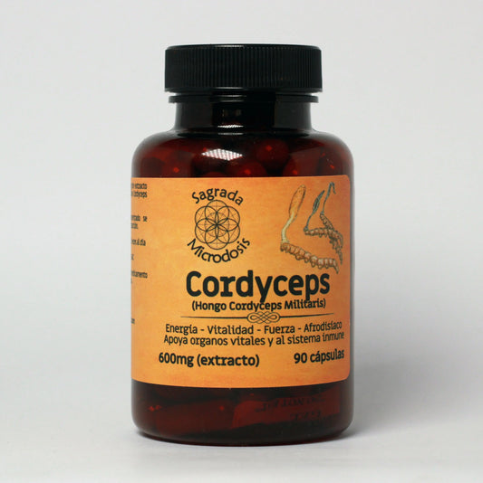 Cordyceps (Extracto 1.1) 600mg - 100 cápsulas Nootrópicos Perú