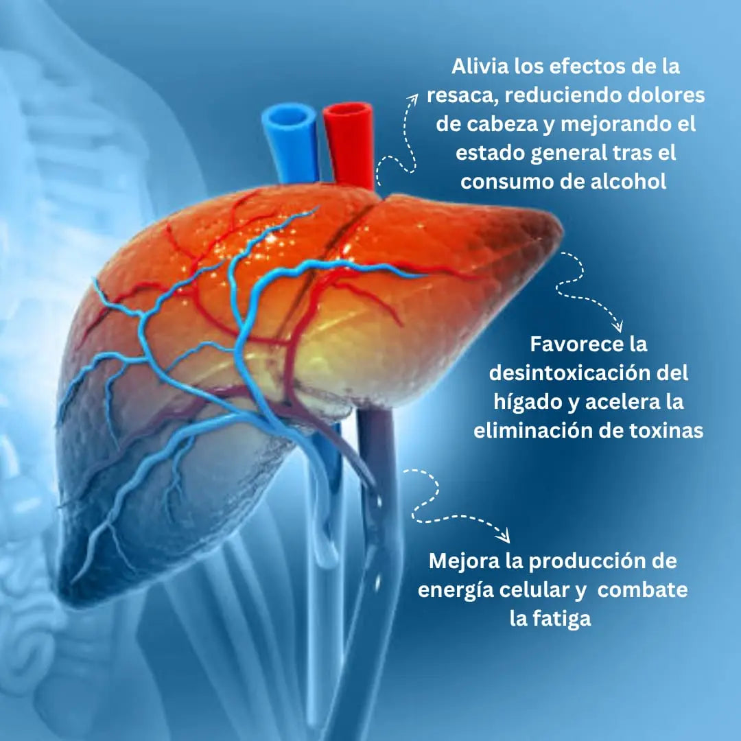 Dihidromiricetina 250mg - 100 cápsulas Nootrópicos Perú