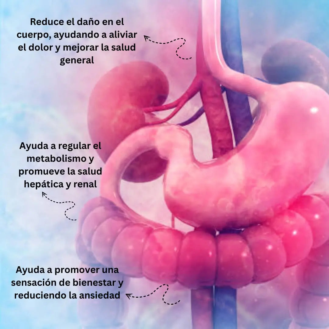 Dihidromiricetina 250mg - 100 cápsulas Nootrópicos Perú