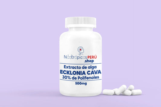 Ecklonia Cava 500mg (Extracto 30% polifenoles) - 100 cápsulas Nootrópicos Perú