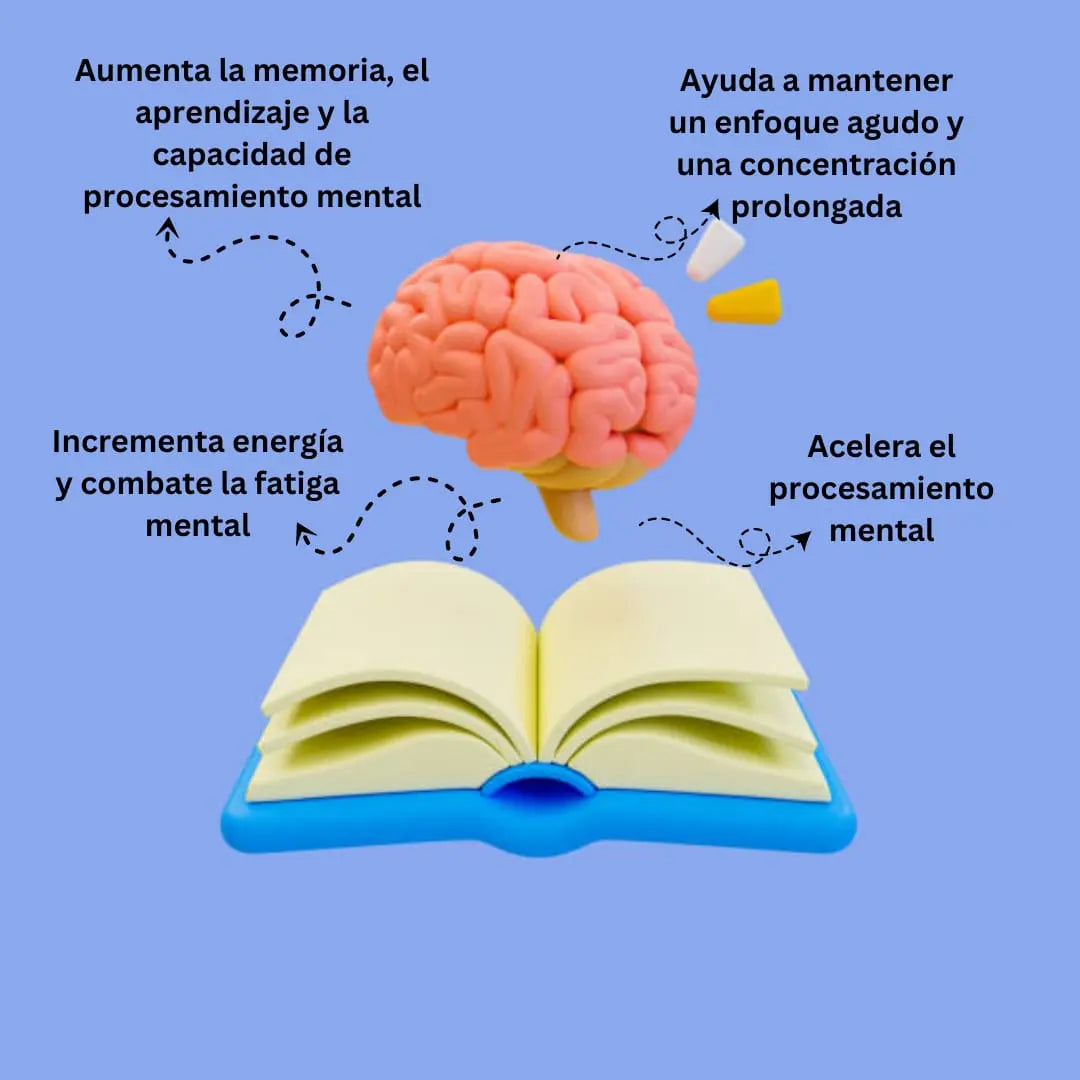 Fenilpiracetam Hidrazida 50mg - 50 cápsulas Nootrópicos Perú