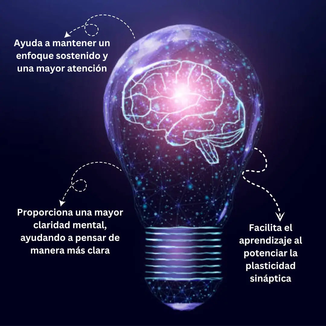 Piracetam (Nootropil) 700mg - 2 presentaciones Nootrópicos Perú